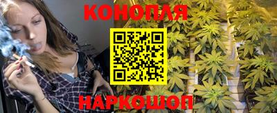 PSILOCYBIN Моздок